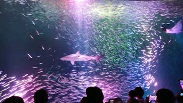 名古屋港水族館に投稿された画像（2022/5/5）