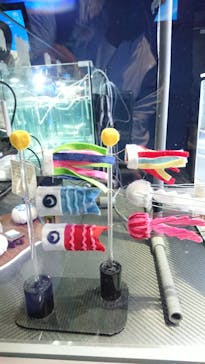 名古屋港水族館に投稿された画像（2022/5/5）