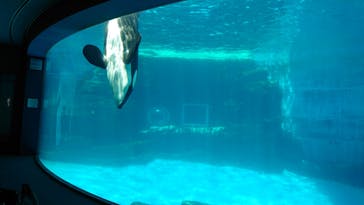 名古屋港水族館に投稿された画像（2022/5/5）