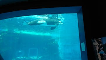 名古屋港水族館に投稿された画像（2022/5/5）