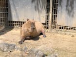 東武動物公園に投稿された画像（2022/5/5）