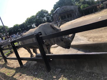 東武動物公園に投稿された画像（2022/5/5）