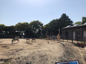 東武動物公園に投稿された画像（2022/5/5）
