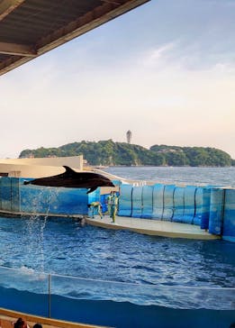 新江ノ島水族館に投稿された画像（2022/5/5）