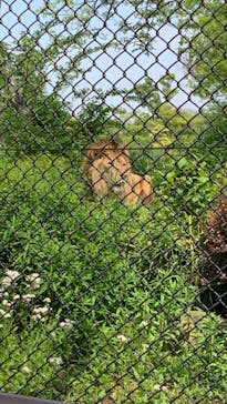 よこはま動物園ズーラシアに投稿された画像（2022/5/5）