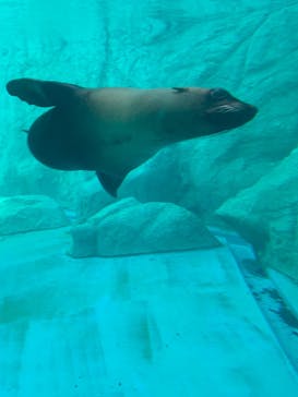 よこはま動物園ズーラシアに投稿された画像（2022/5/5）