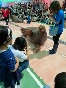 ゼロ距離水族館 伊勢シーパラダイスに投稿された画像（2022/5/5）