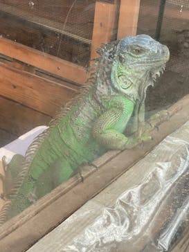 ゼロ距離水族館 伊勢シーパラダイスに投稿された画像（2022/5/5）