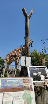 天王寺動物園に投稿された画像（2022/5/5）