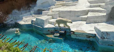天王寺動物園に投稿された画像（2022/5/5）