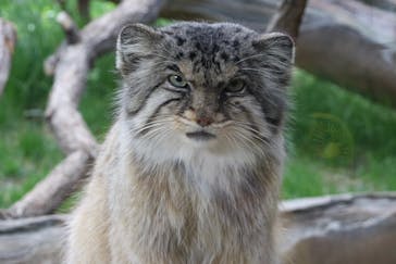 那須どうぶつ王国に投稿された画像（2022/5/5）