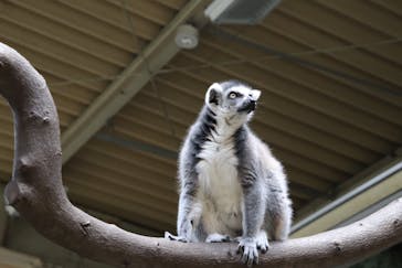 那須どうぶつ王国に投稿された画像（2022/5/5）