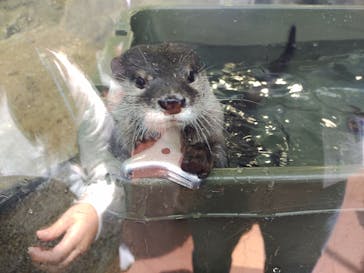 新江ノ島水族館に投稿された画像（2022/5/5）
