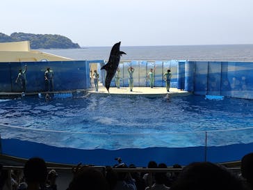 新江ノ島水族館に投稿された画像（2022/5/5）