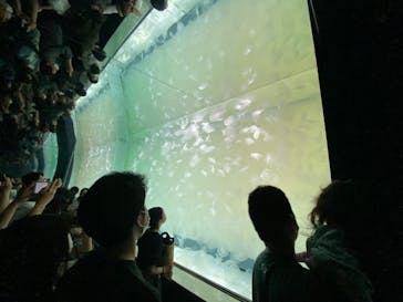 アクアワールド茨城県大洗水族館に投稿された画像（2022/5/5）