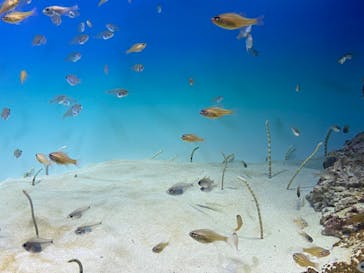 アクアワールド茨城県大洗水族館に投稿された画像（2022/5/5）