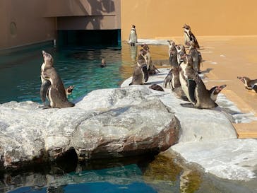 アクアワールド茨城県大洗水族館に投稿された画像（2022/5/5）