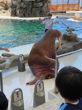 城崎マリンワールドに投稿された画像（2022/5/5）