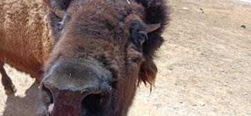 東北サファリパークに投稿された画像（2022/5/5）