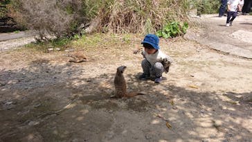 長崎バイオパークに投稿された画像（2022/5/5）