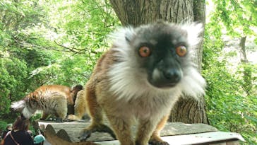 長崎バイオパークに投稿された画像（2022/5/5）