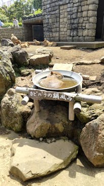 伊豆シャボテン動物公園に投稿された画像（2022/5/5）