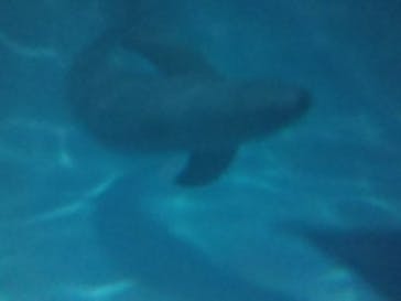 マリンワールド海の中道に投稿された画像（2022/5/5）