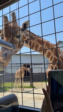 那須サファリパークに投稿された画像（2022/5/5）