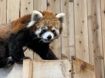 伊豆シャボテン動物公園に投稿された画像（2022/5/5）