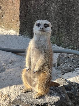 伊豆シャボテン動物公園に投稿された画像（2022/5/5）