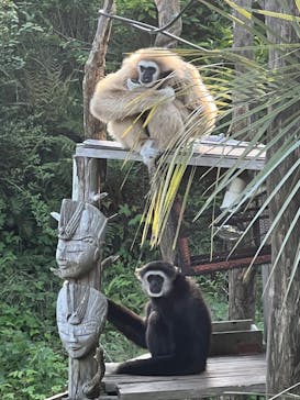 伊豆シャボテン動物公園に投稿された画像（2022/5/5）