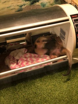 伊豆シャボテン動物公園に投稿された画像（2022/5/5）