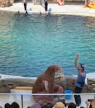 城崎マリンワールドに投稿された画像（2022/5/6）