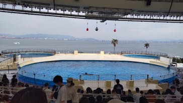 マリンワールド海の中道に投稿された画像（2022/5/5）