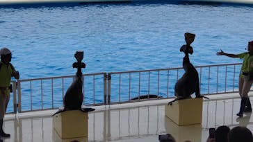 マリンワールド海の中道に投稿された画像（2022/5/5）