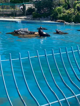 天王寺動物園に投稿された画像（2022/5/5）