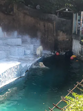 天王寺動物園に投稿された画像（2022/5/5）