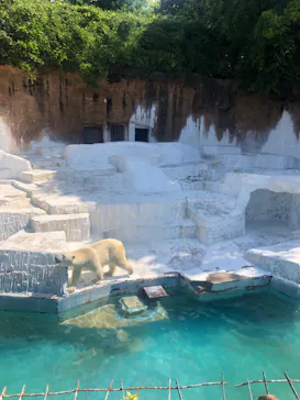 天王寺動物園に投稿された画像（2022/5/5）