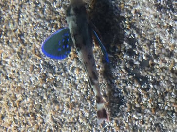 名古屋港水族館に投稿された画像（2022/5/5）