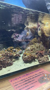 島根県立 しまね海洋館に投稿された画像（2022/5/5）