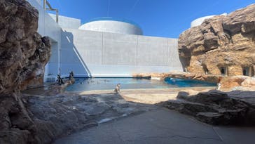 島根県立 しまね海洋館に投稿された画像（2022/5/5）