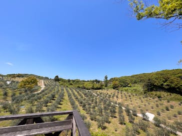 UMU淡路島に投稿された画像（2022/5/5）