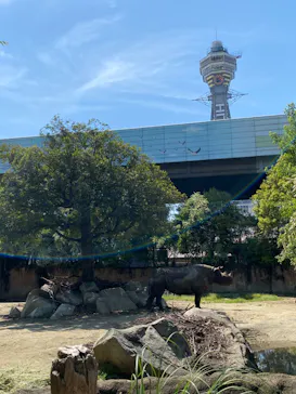 天王寺動物園に投稿された画像（2022/5/5）