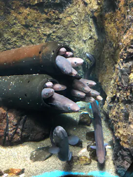 仙台うみの杜水族館に投稿された画像（2022/5/5）