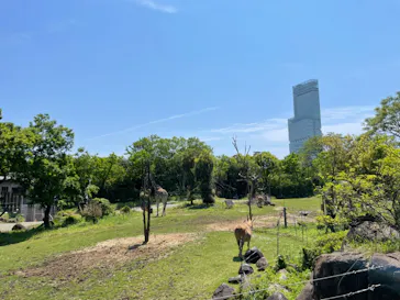 天王寺動物園に投稿された画像（2022/5/5）