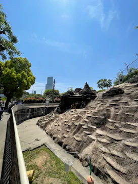 天王寺動物園に投稿された画像（2022/5/5）