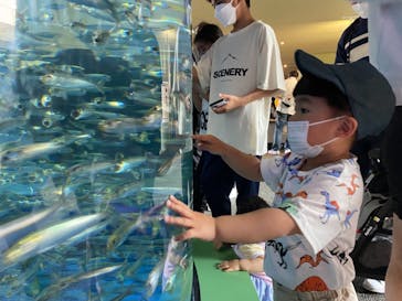 アクアワールド茨城県大洗水族館に投稿された画像（2022/5/6）