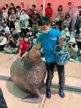 ゼロ距離水族館 伊勢シーパラダイスに投稿された画像（2022/5/6）
