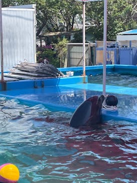 ゼロ距離水族館 伊勢シーパラダイスに投稿された画像（2022/5/6）