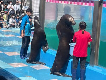 ゼロ距離水族館 伊勢シーパラダイスに投稿された画像（2022/5/6）